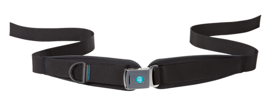 Bodypoint 2 point strap for hip positioning wheelchair LATCH